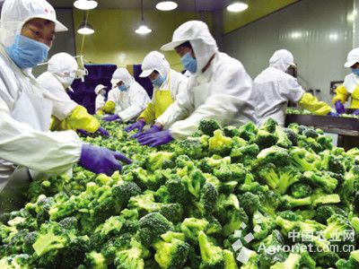 游戏专题 第17页